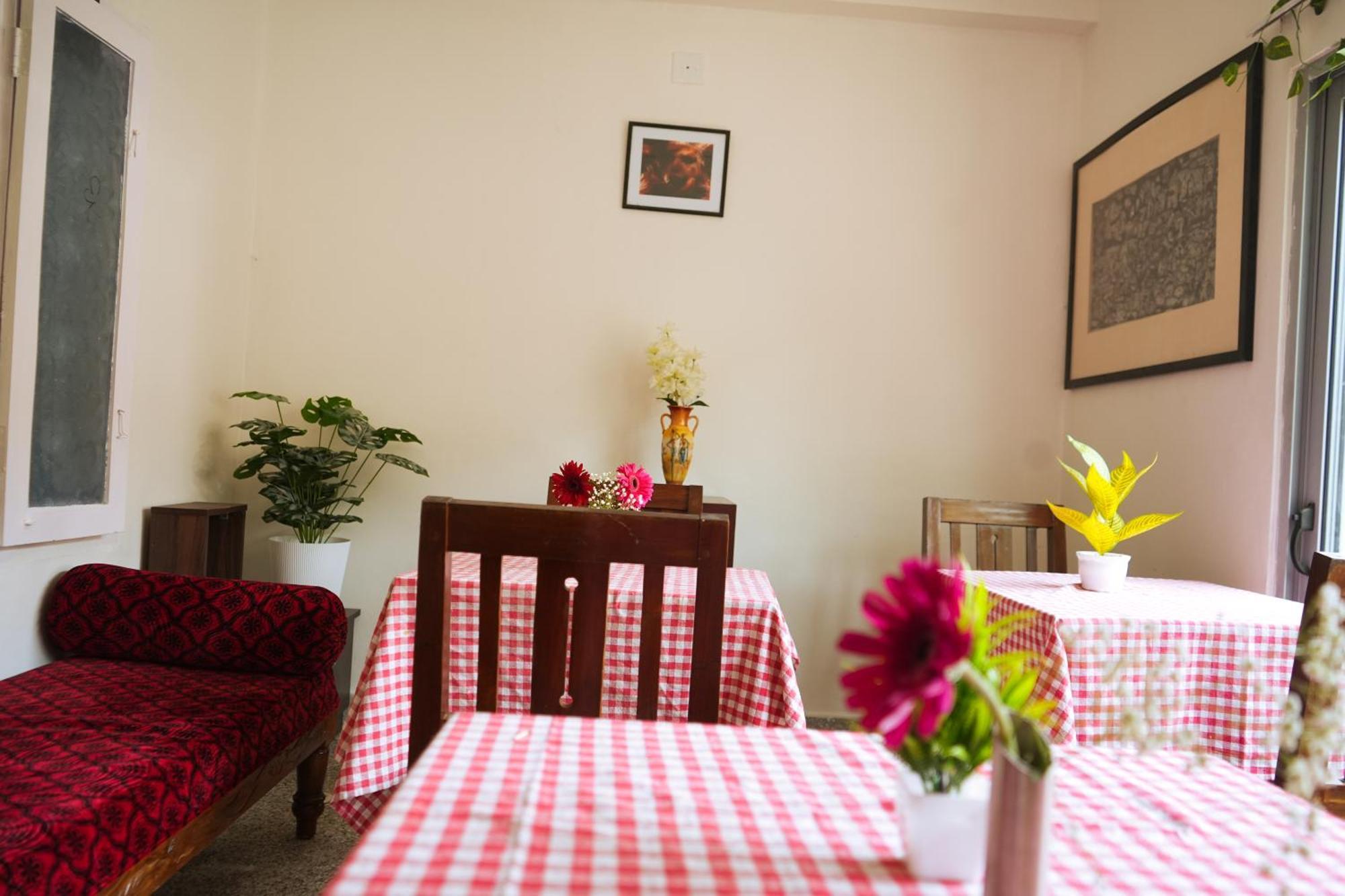Mother Tree Inn Kochi المظهر الخارجي الصورة